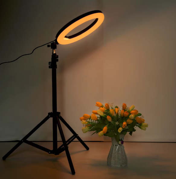 Content Creator Kit Bundle - Selfie Stick & Ring Light with Free Delivery